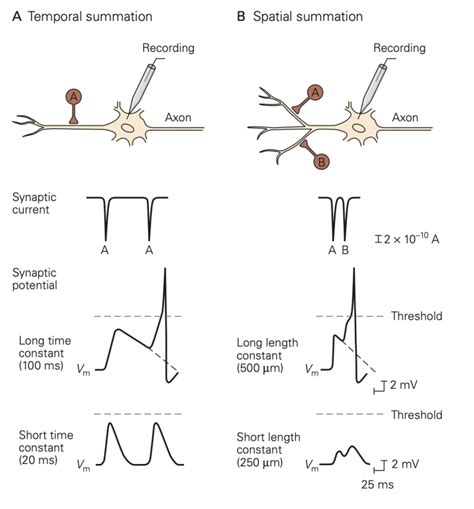 Connecting Potentials .